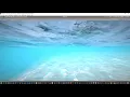 FPCSwimmer - Underwater swimming script for Unity 3D