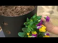 Download Lagu Flower Tower Planter Instrunctional Video
