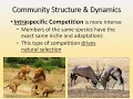 Communities Ecosystems