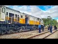 Download Lagu LOKOMOTIF MENDADAK MATI MESIN, TEKNISI DIKERAHKAN PERBAIKI KERETA !