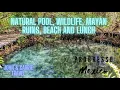 Natural Pool Wildlife Mayan Ruins Beach and Lunch - Progresso Mexico Excursion
