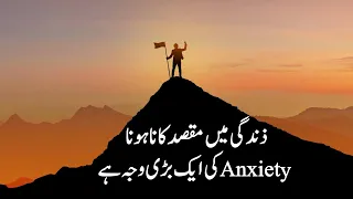 ?? ?? ?????: ????, ????? ?? ?????? ???????? ?? ????? ?????