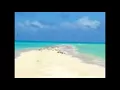 真夏の夜の夢　野口五郎
