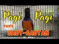 Download Lagu KETREKAN PANCINGAN MURAI BATU GACOR SANGAT AMPUH, SEKALI DENGAR MURAI BATU APAPUN LANGSUNG NYAUT ON