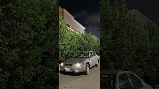 مصري مطلوب اكثر شي        دا حب ايه الي بعيشه معاك دا كله  دندنها