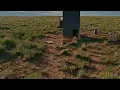 The reason we got chickens for our offgrid homestead