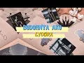 Lyodra -  Bodohnya Aku (Lirik)