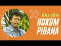 Lagu Ferly Sitepu - HUKUM PIDANA ( Official Music Video )
