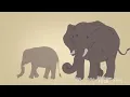 What is DNA?