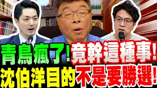 【全字幕】青鳥瘋了！竟幹這種事！沈伯洋的目的～竟不是要勝選！邱毅破解背後盤算！#阿城鵝肉#出征#黑熊