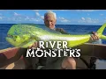 Non-stop River Monsters 24/7 | Biggest Catches \u0026 Best Moments