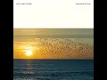 Murmuration