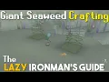 Giant Seaweed Crafting Guide - Lazy Ironman s Guide