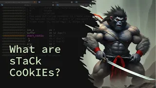 What are Stack Cookies Software Mitigations for Stack Buffer Overflows