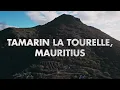 Download Lagu The Whale #4 Dylan Sendeck at Tamarin La Tourelle Mauritius | Melodic Techno Dj Set