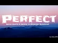 David Guetta & Mason vs Princess Superstar - Perfect (Exceeder)