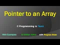 Pointer to an Array C Programming in Tamil