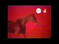 Download Lagu TV4 Vinjett (hästar) - 2006-02-15