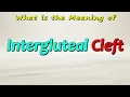 What is the Meaning of Intergluteal Cleft