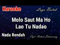 Download Lagu Karaoke : Molo Saut Maho (Nada Rendah)