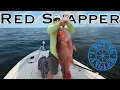 HUGE RED SNAPPER 2025 Florida Red Snapper Opener