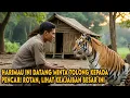Lagu TAK SENGAJA TOLONG HARIMAU INI, PEMUDA PENCARI ROTAN MENDAPAT KEAJAIBAN