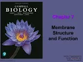 Chapter 7 Membrane Structure and Function