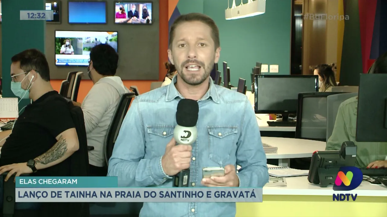 Elas chegaram: lanço de tainha na Praia do Santinho e Gravatá