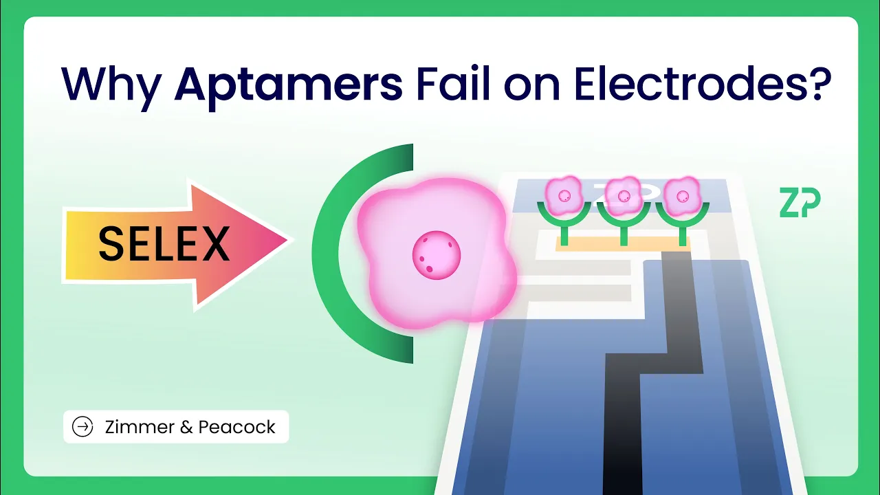Electrochemical aptamer based sensors/biosensors