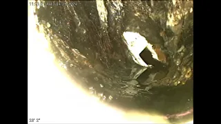 5 S Walnut Circle