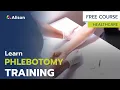 Phlebotomist Training - Free Online Course with Certificate