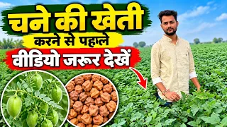 चने बोने से पहले ये वीडियो देखिए चने की खेती कैसे करे chane ki kheti