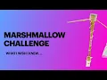 Marshmallow Challenge STEM Team Building - What I Wish I Knew
