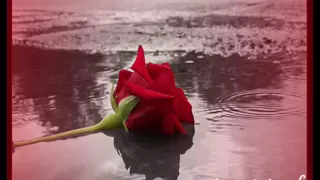 مجبوره وغصب يا فلان دندنها