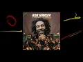 Turn Your Lights Down Low – Bob Marley and The Chineke! Orchestra (Visualiser)