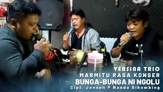 versina trio bunga bunga ni ngolu cipt jonson p nando sihombing lagu batak cover lapo 