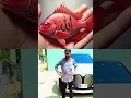 Download Lagu #awrabriguela #love #whowillbemylifepartnerta #unfrezzmyaccount #beautiful #1million #hijab #answer