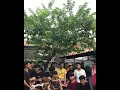 Download Lagu resah hati ini tanpanya | Scalavacoustic cover | storywa