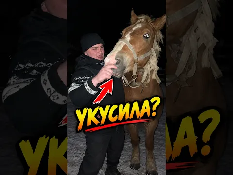 Сунул в ЛОШАДЬ 🐴