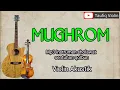 Download Lagu Mughrom - instrumen sholawat - violin cover