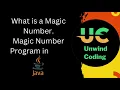 Magic Number in Java What is magic number Two approaches