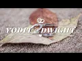 I Love You Your Lifer Yodit Dwight s Ethiopian Wedding Extended