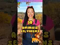 Lagu 🦁🐯 Conheça 10 Animais Selvagens Incríveis! 🌿✨