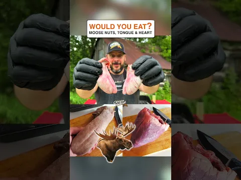 Would you eat these? 🫎🥩 #moose #cooking #wildgame #food #moosemeat
