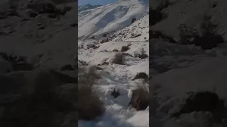أية الكرسي القارئ الشيخ مشاري بن راشد العفاسي القرآن كريم راحة نفسية أية الكرسي  أية الكرسي القارئ الشيخ مشاري بن راشد العفاسي القرآن كريم راحة نفسية أية الكرسي