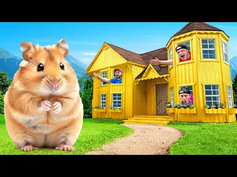 Download MP3 I Built A $100,000 Golden Hamster House