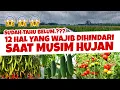 Download Lagu 12 HAL YANG WAJIB HINDARI SAAT SERING TERJADI HUJAN | Tanah \u0026 Tanaman Subur, Sehat \u0026 Lebat