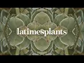 The new L A Times Plants section