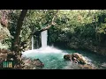 Shingo Nakamura - Come Closer