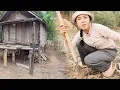Download Lagu สาวลาว ทอดแมลงจี่โป่ม แชบๆที่กระท่อมกางป่า#น้องนุ่น